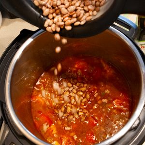 Instant Pot pinto beans