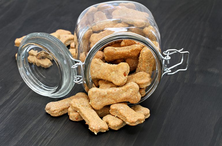 8 Limited Ingredient Dog Snacks