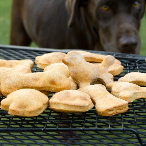 Best sweet potato dog cookies
