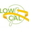 low cal icon